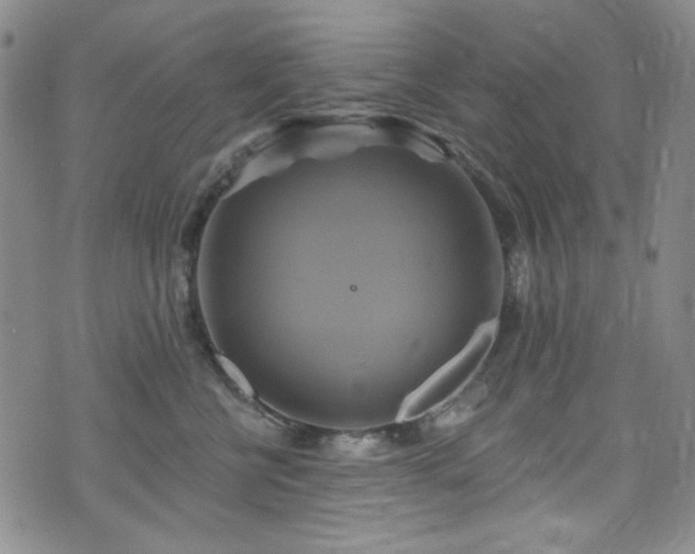 X0000075900570200609151414