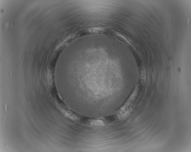 X0000075900572200609151414