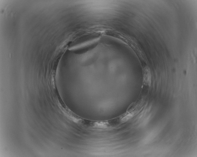 X0000075900573200609151414