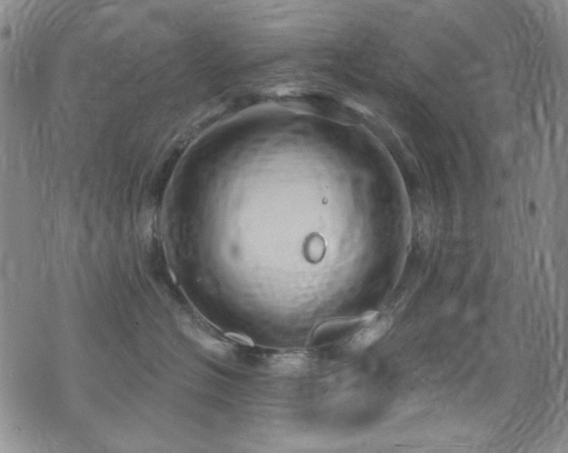 X0000075900574200609151414