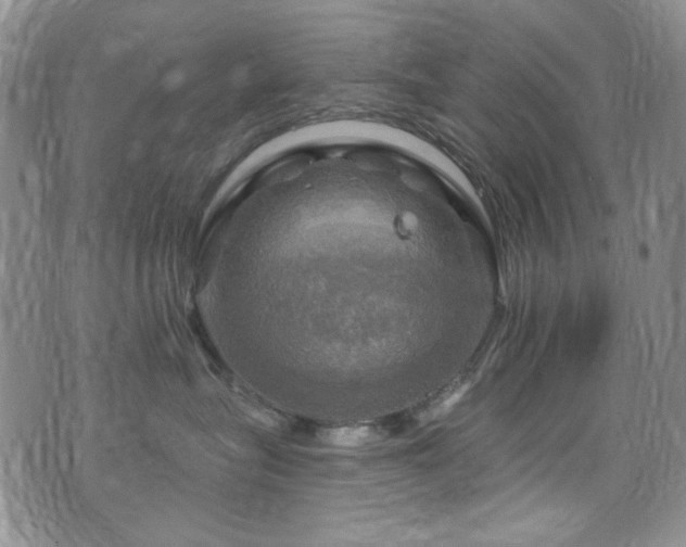 X0000075900575200609151414