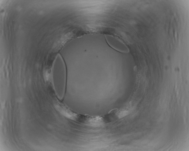 X0000075900576200609151414