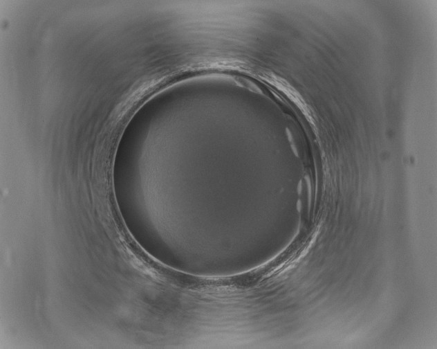 X0000075900577200609151414