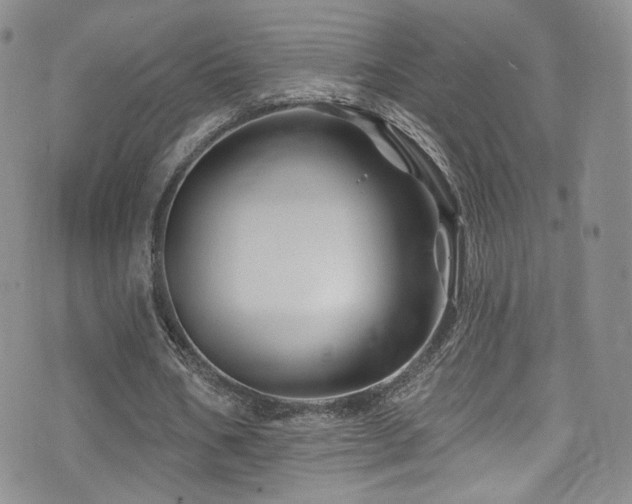 X0000075900578200609151414