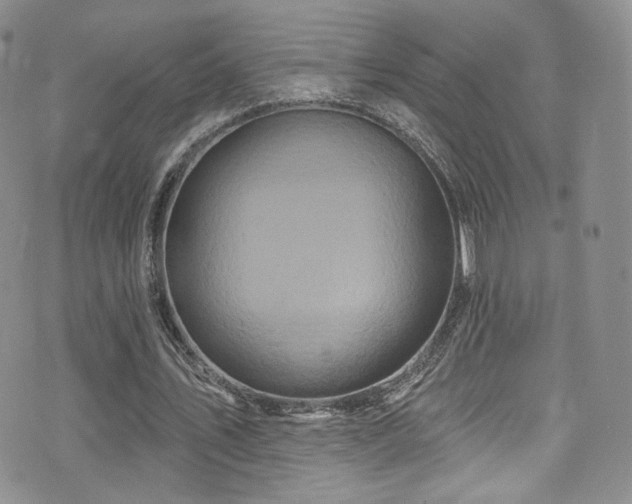 X0000075900579200609151414