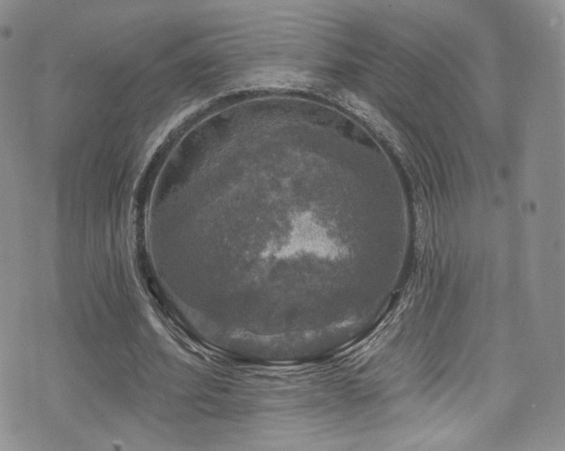 X0000075900580200609151414