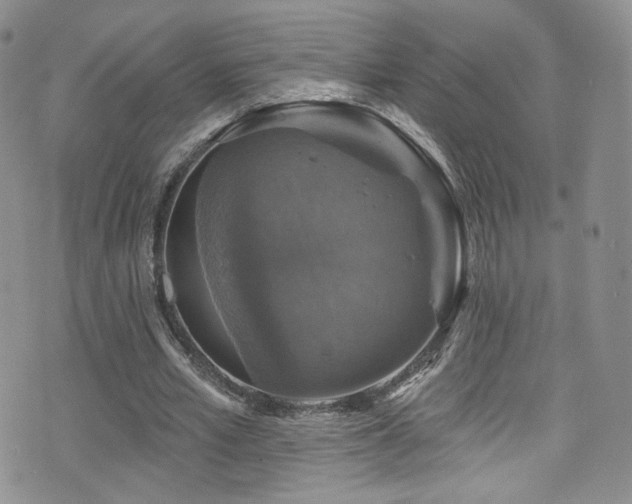 X0000075900581200609151414