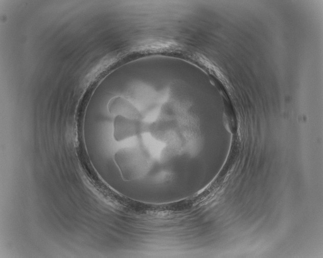 X0000075900582200609151414