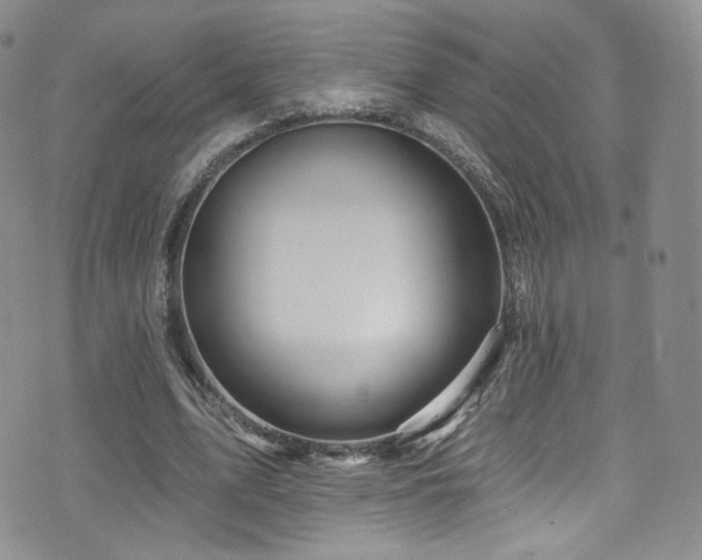 X0000075900583200609151414