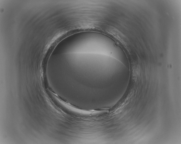 X0000075900584200609151413