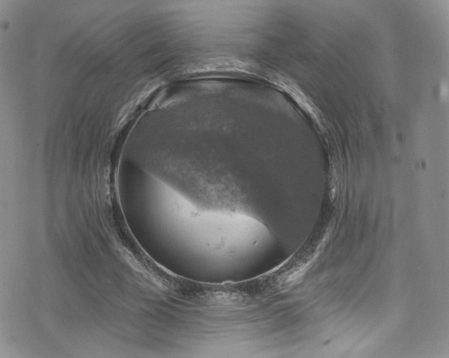 X0000075900585200609151413