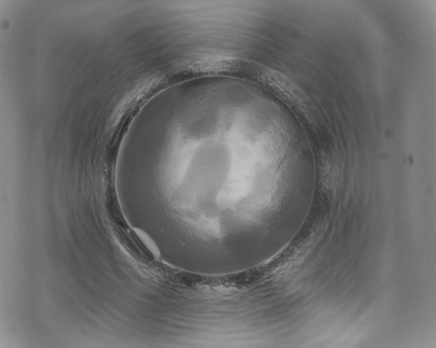 X0000075900586200609151413