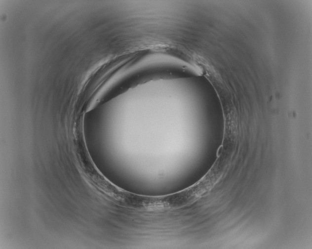 X0000075900587200609151413