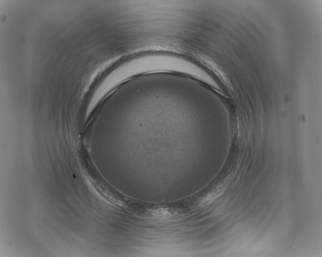 X0000075900588200609151413