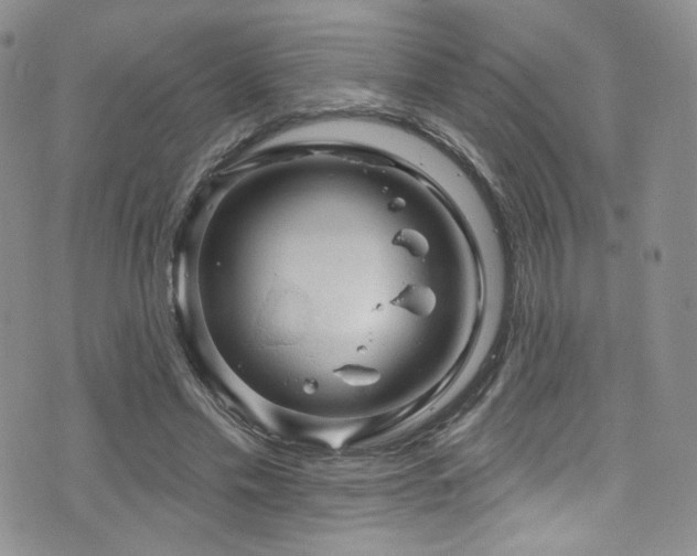 X0000075900589200609151413