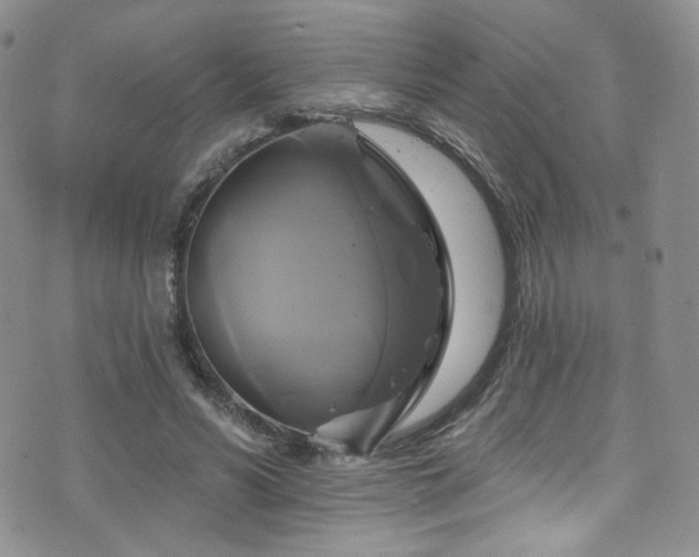 X0000075900590200609151413