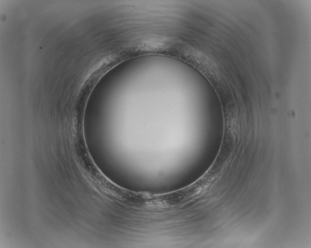 X0000075900591200609151413