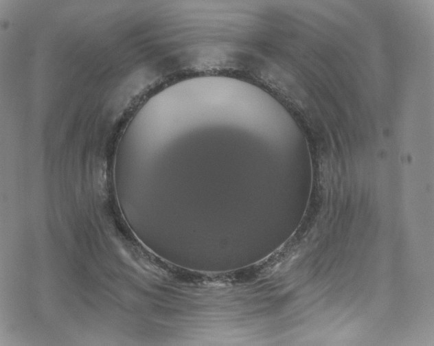 X0000075900592200609151413