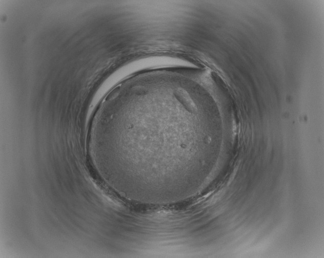 X0000075900593200609151413