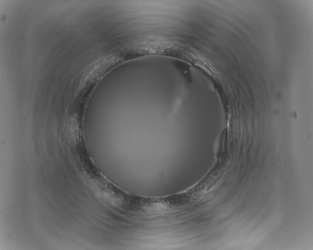 X0000075900594200609151413