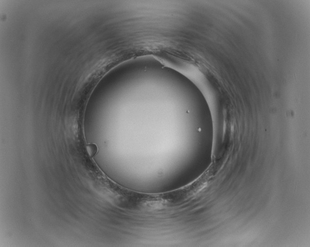 X0000075900595200609151413