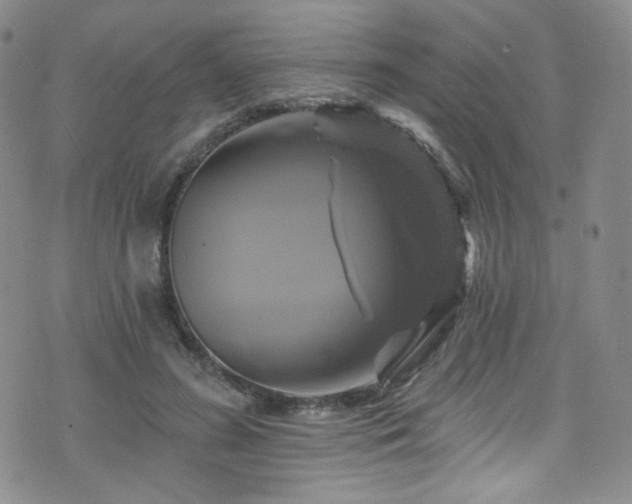 X0000075900596200609151413