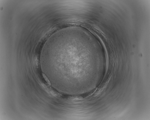 X0000075900597200609151413