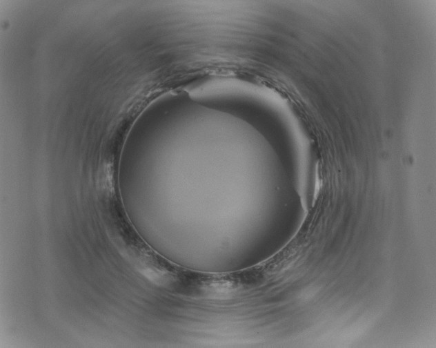 X0000075900598200609151413