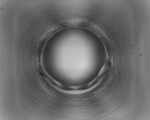 X0000075900599200609151413