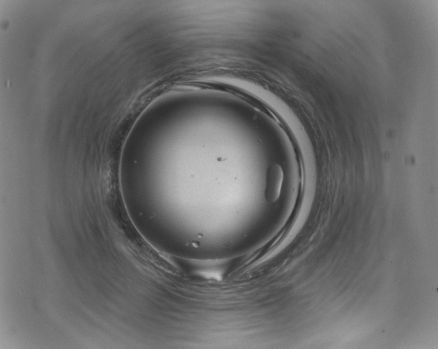 X0000075900600200609151413