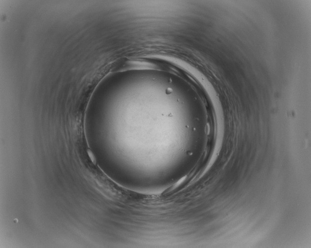 X0000075900601200609151413