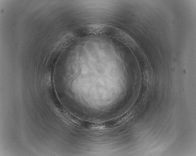 X0000075900602200609151413