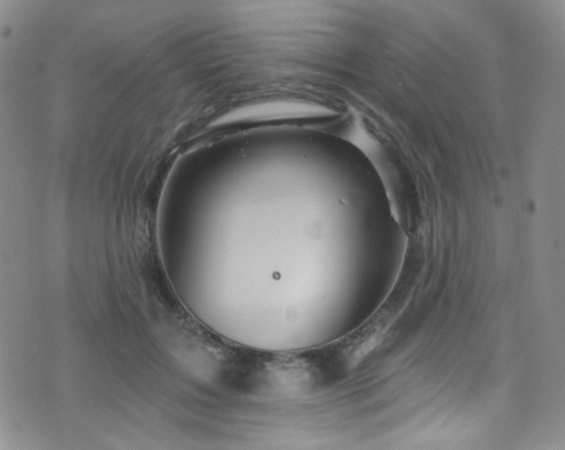 X0000075900603200609151413