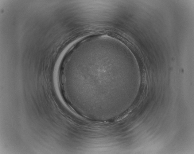 X0000075900604200609151413