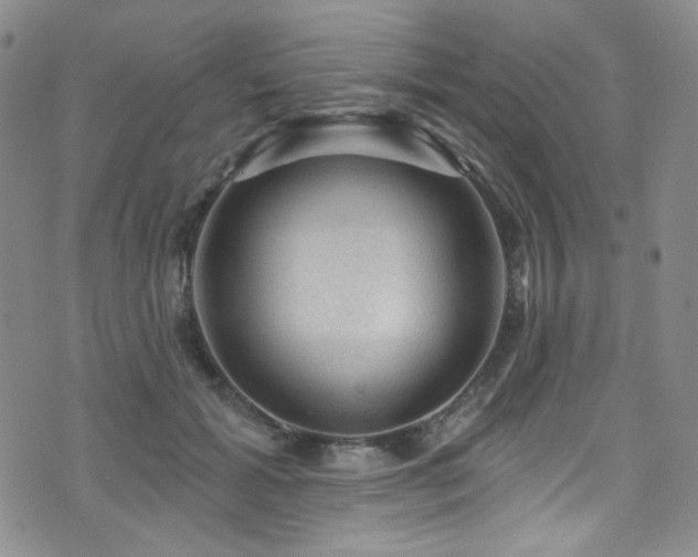 X0000075900605200609151413