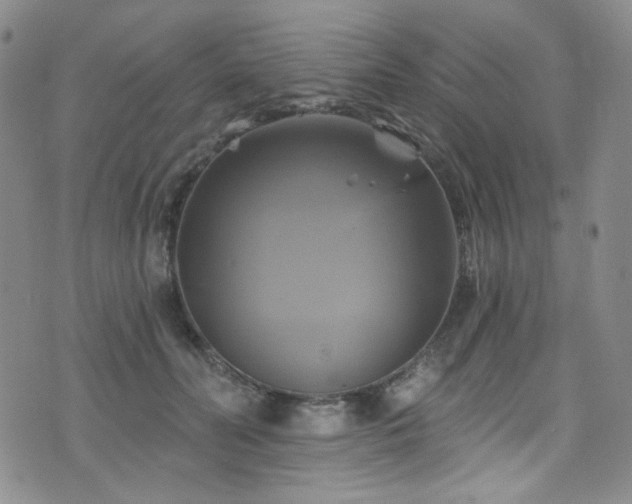 X0000075900606200609151413