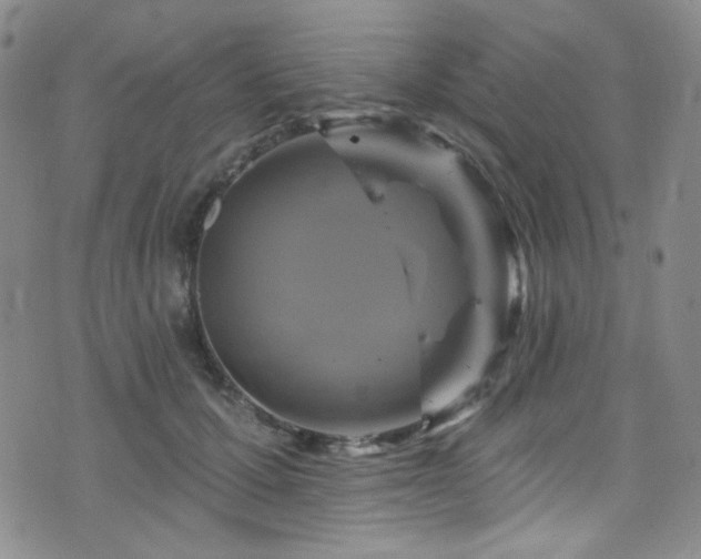 X0000075900607200609151413