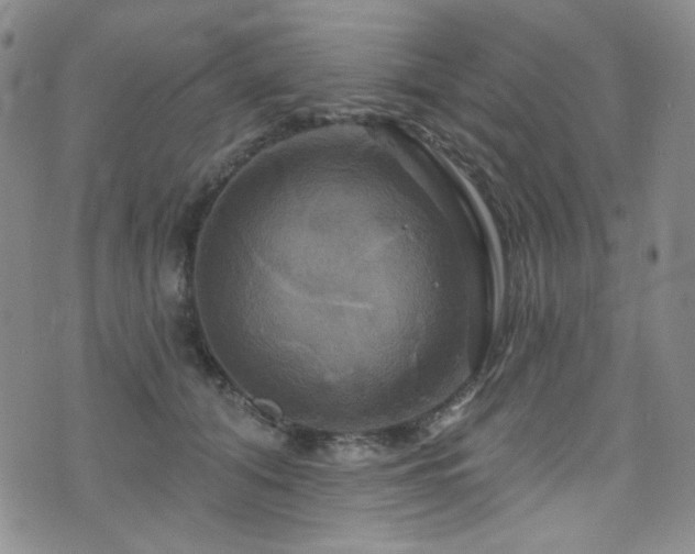 X0000075900608200609151413