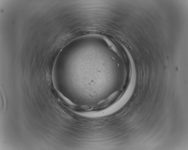 X0000075900609200609151413