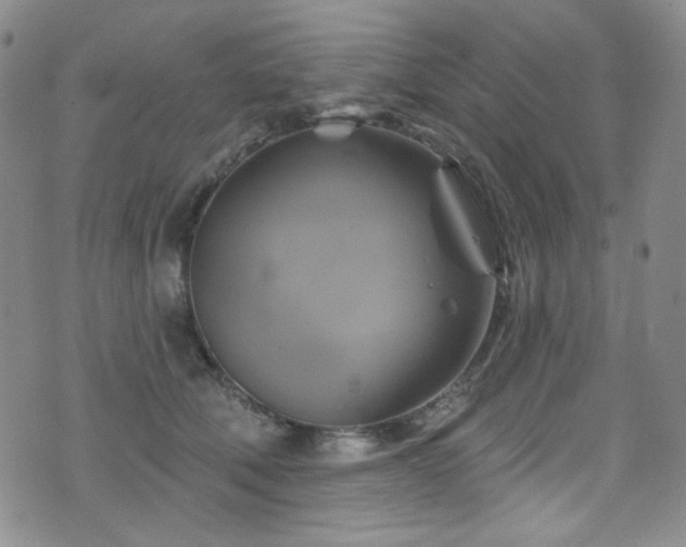 X0000075900610200609151413