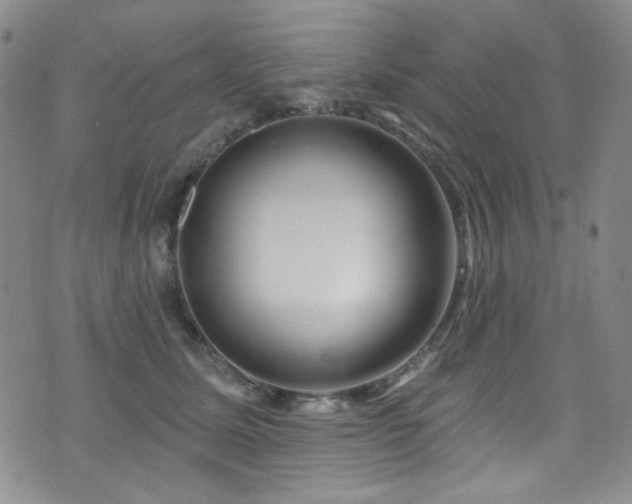 X0000075900611200609151413