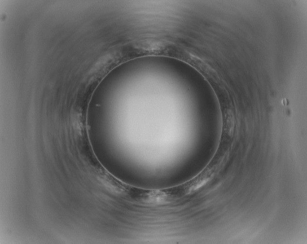 X0000075900612200609151413