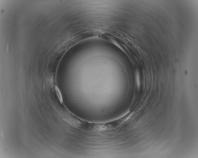 X0000075900613200609151413