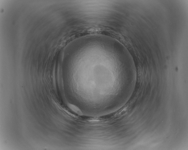 X0000075900614200609151413