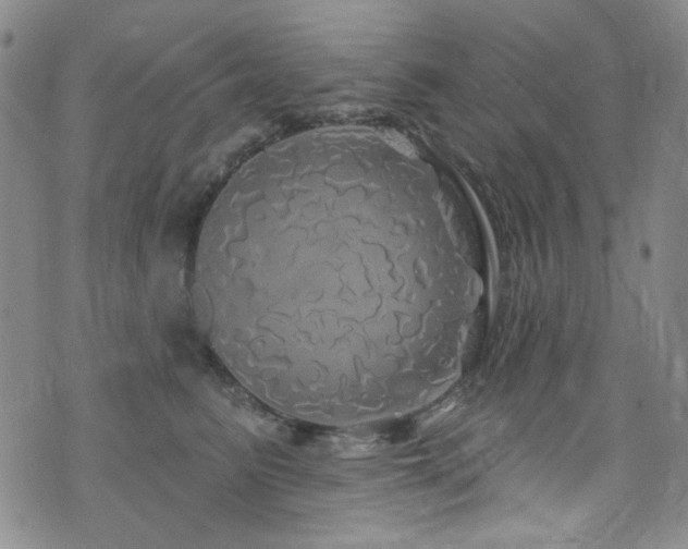 X0000075900615200609151413