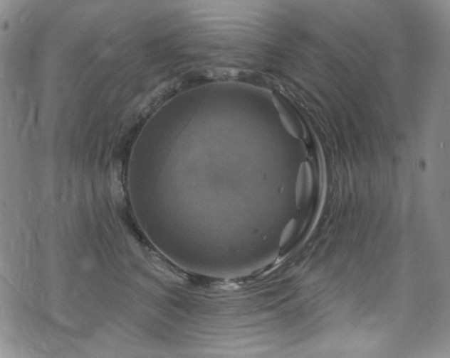 X0000075900616200609151413