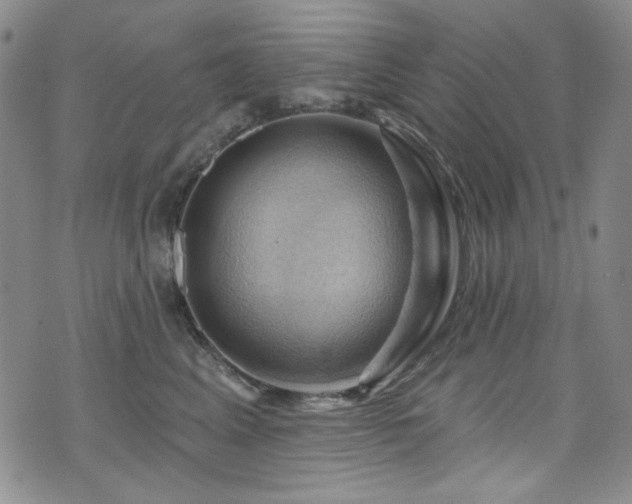 X0000075900617200609151413