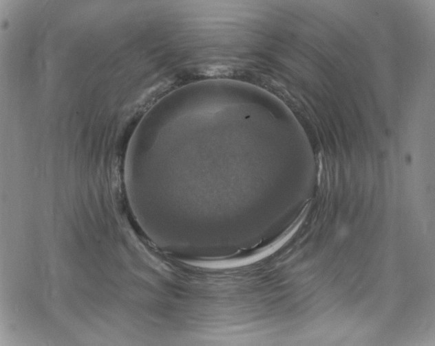 X0000075900620200609151413