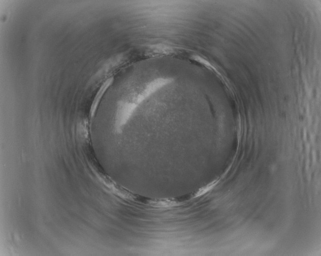 X0000075900621200609151413