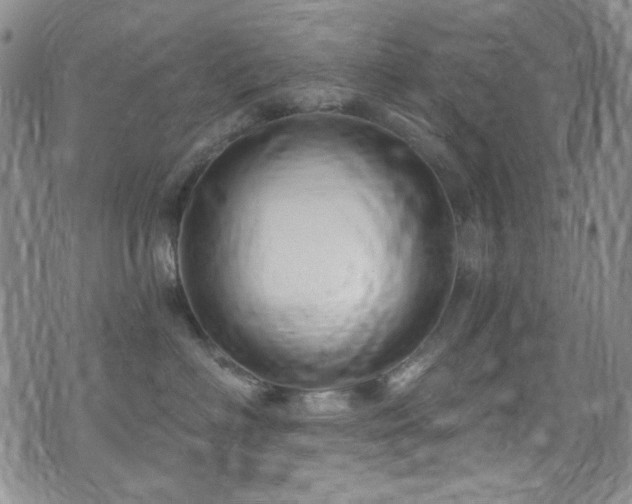 X0000075900622200609151413